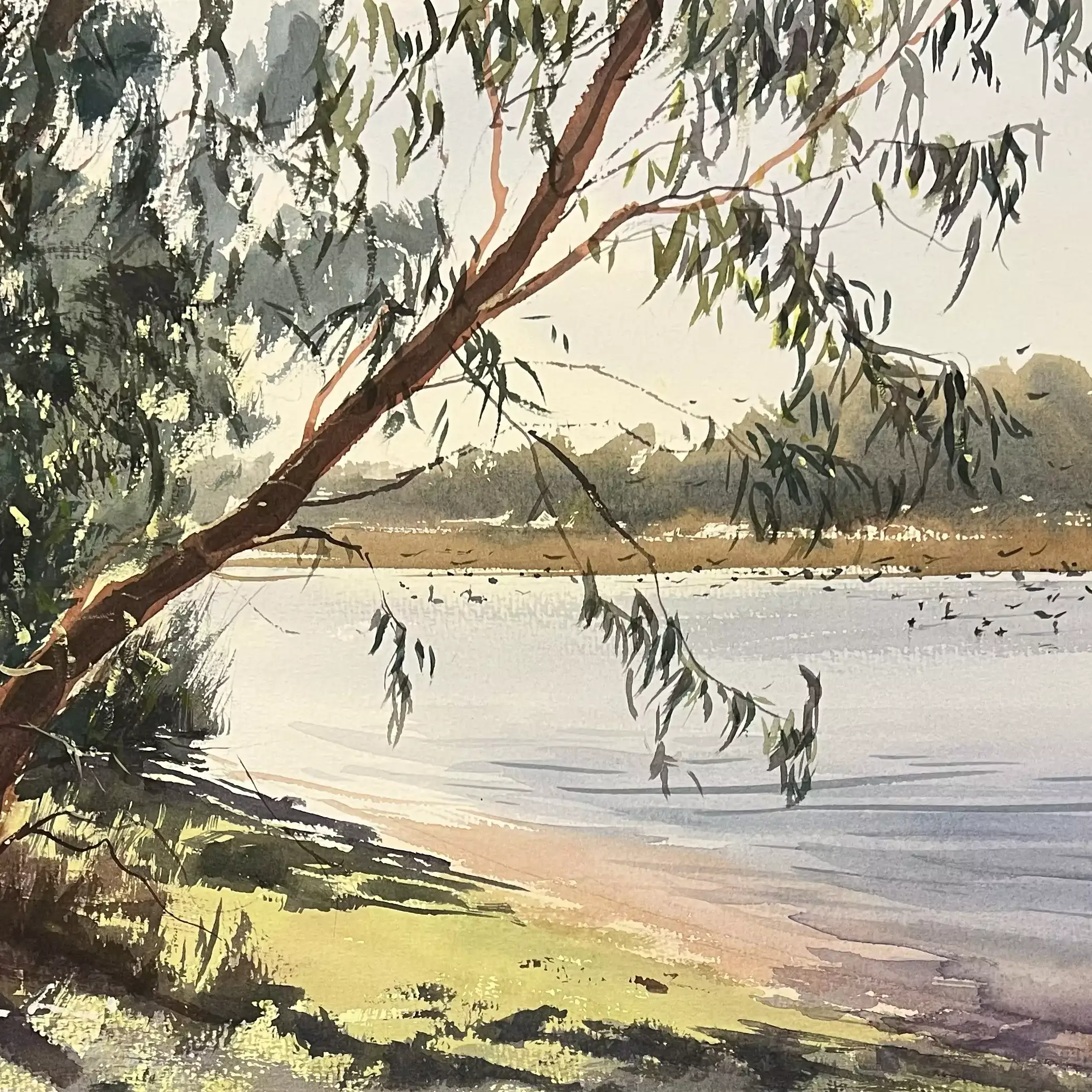 Morning-Light---Bibra-Lake-02