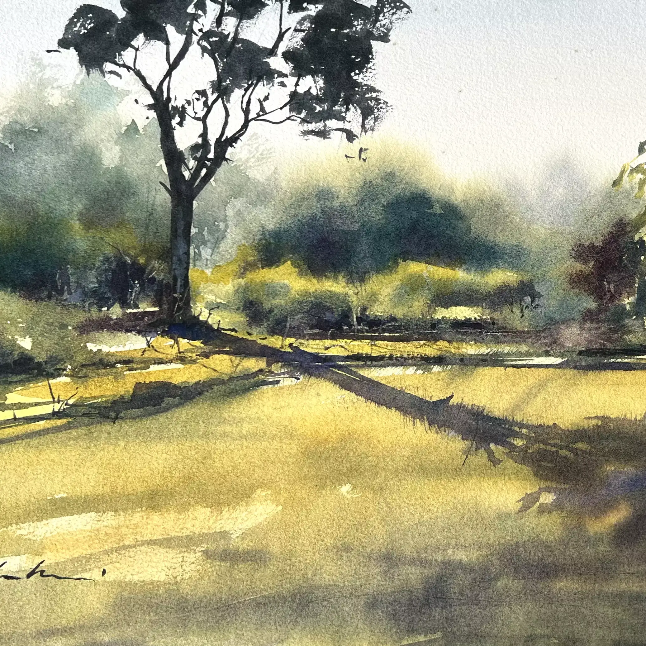 Shadows-of-a-Lonely-Tree-01