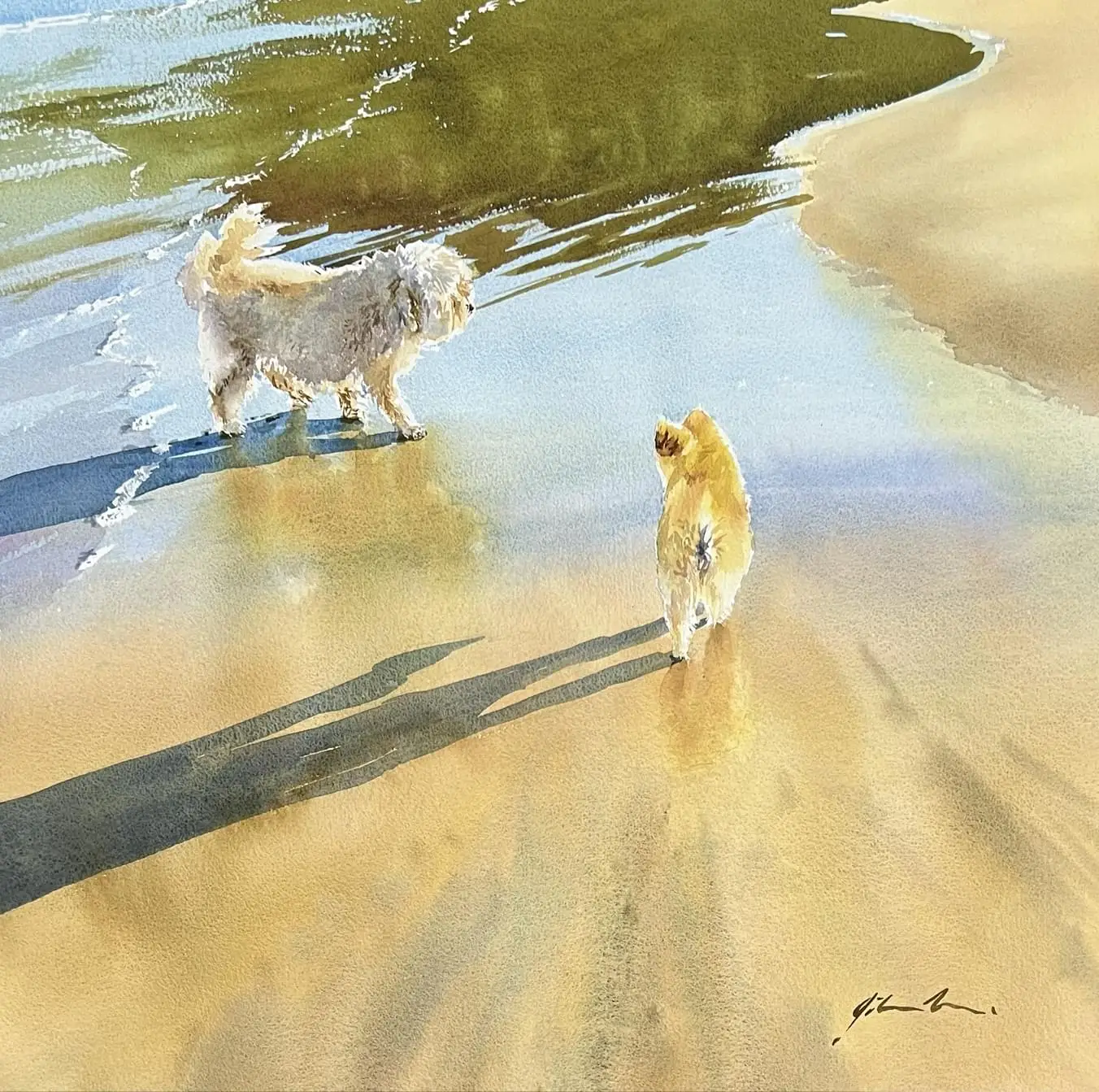 beachbuds