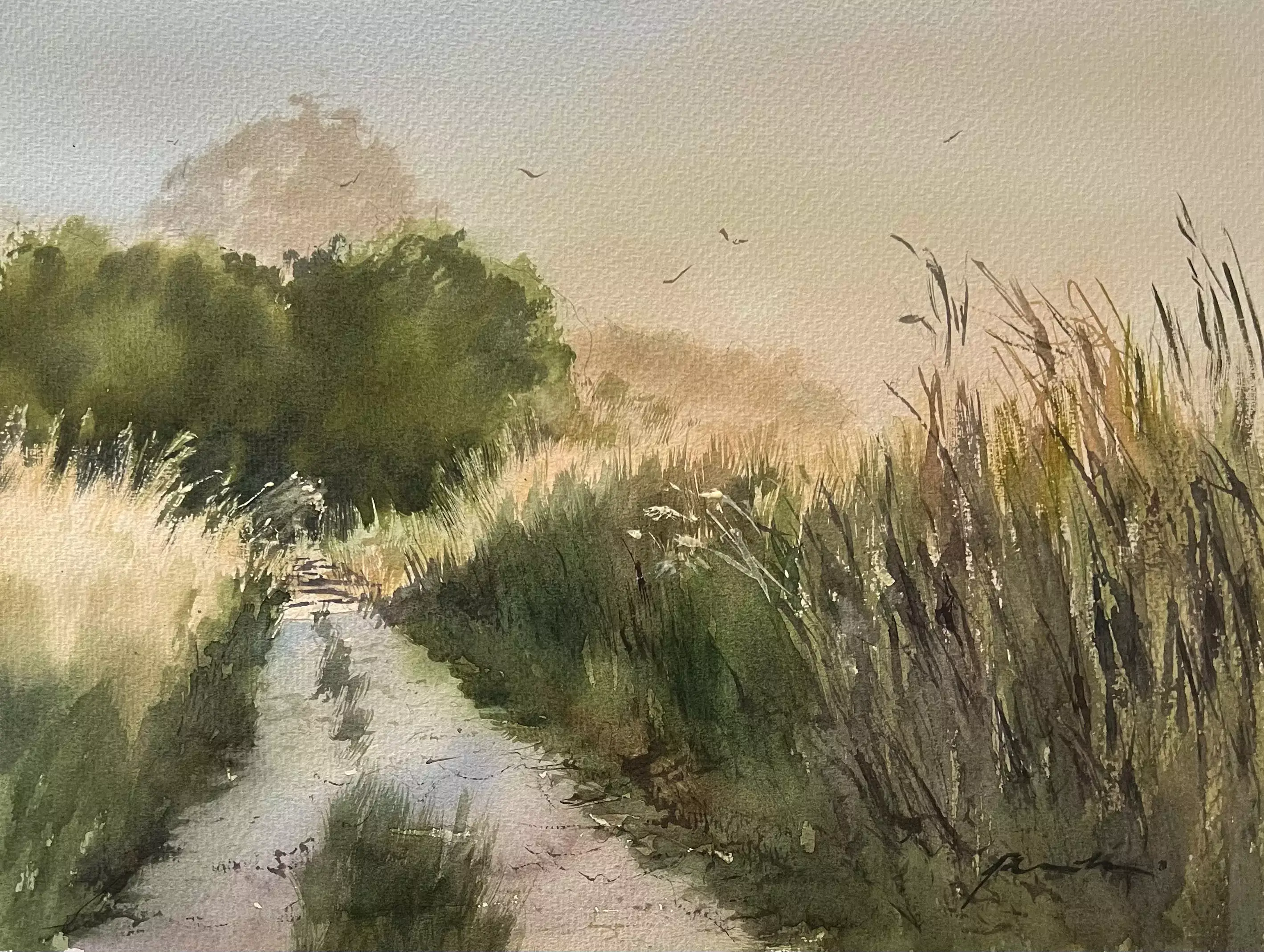 Softly-Homeward-02