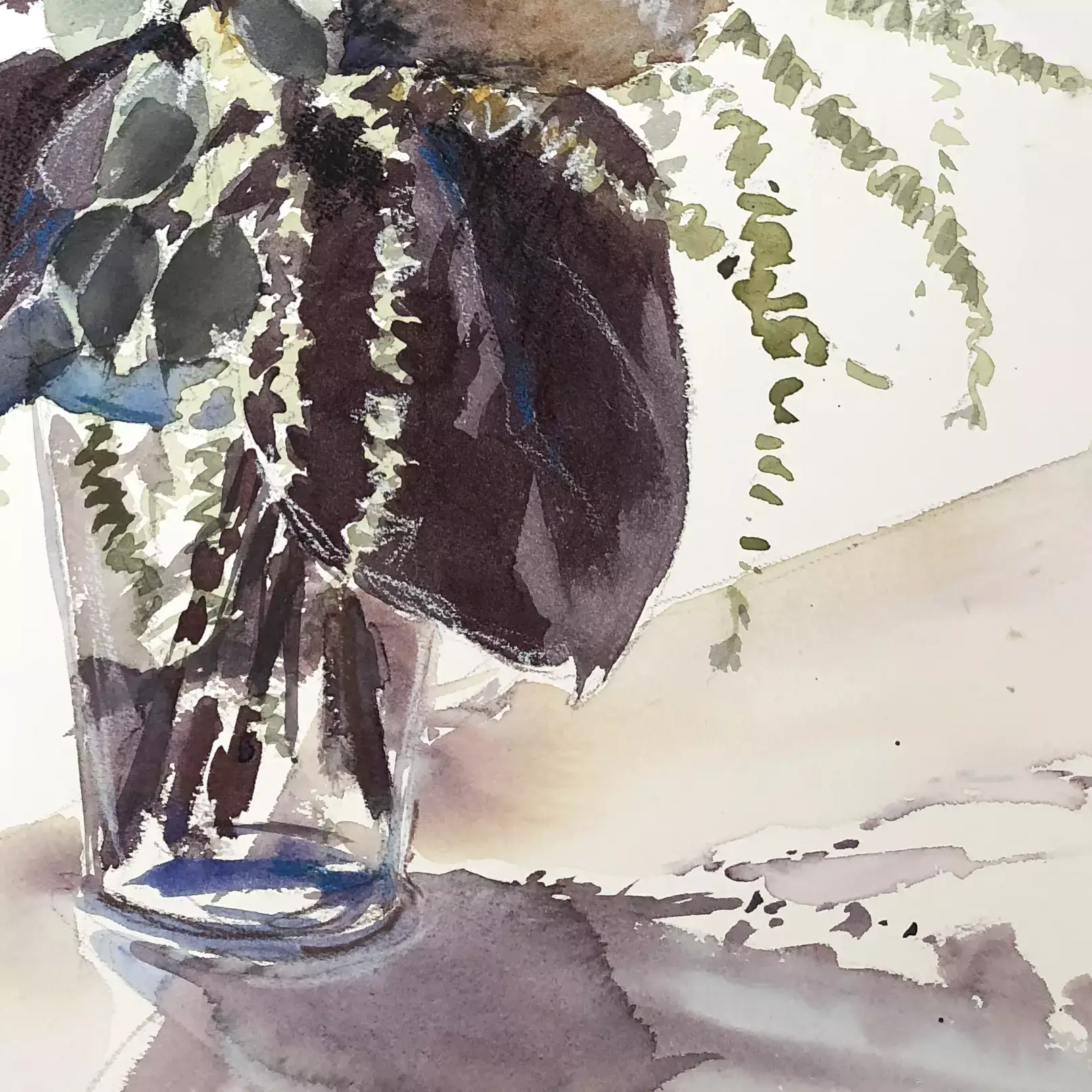 Banksias-02