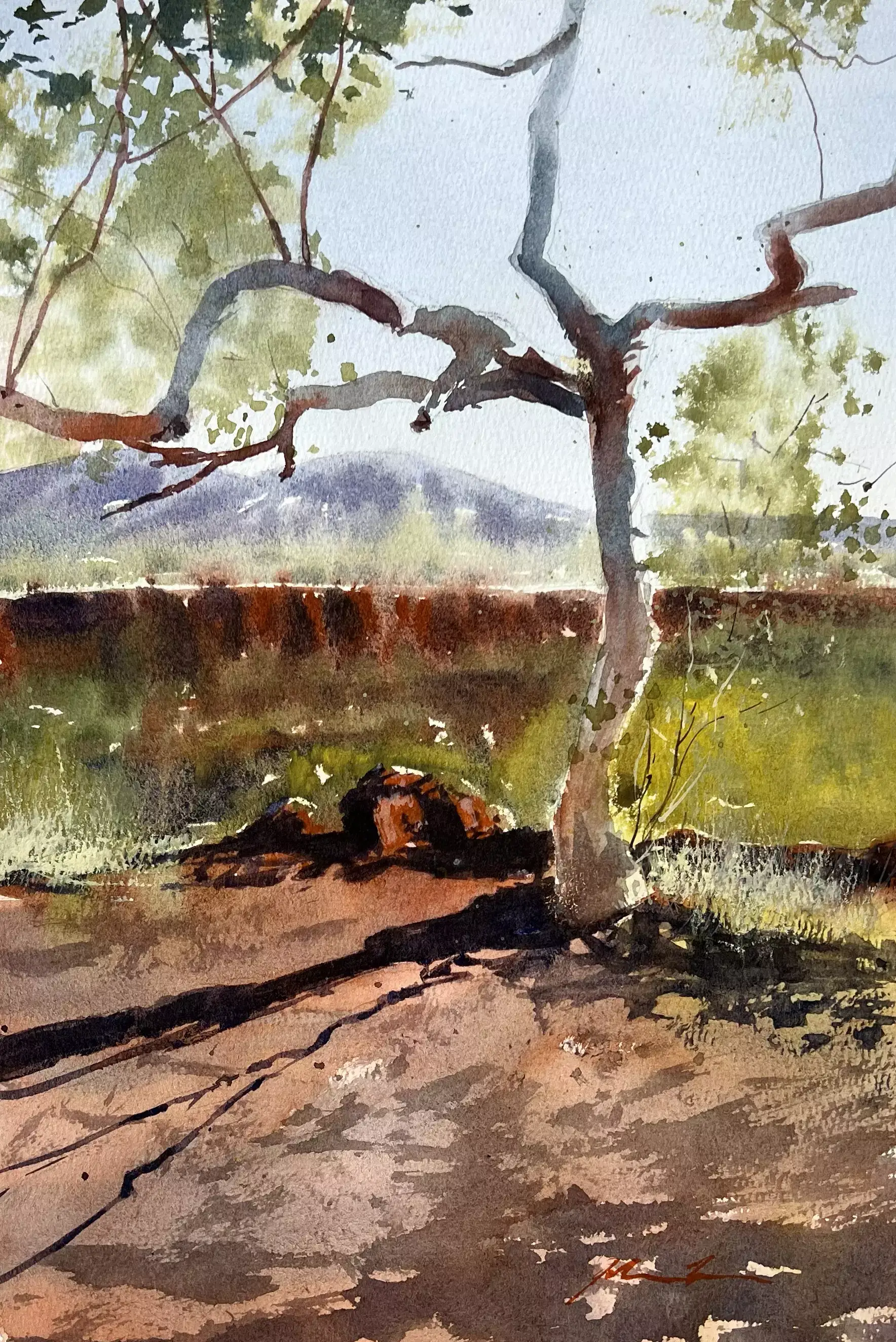 Karijini-Tree-02