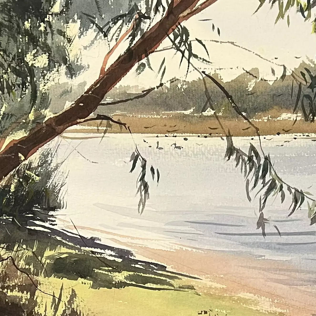 Morning-Light---Bibra-Lake-05