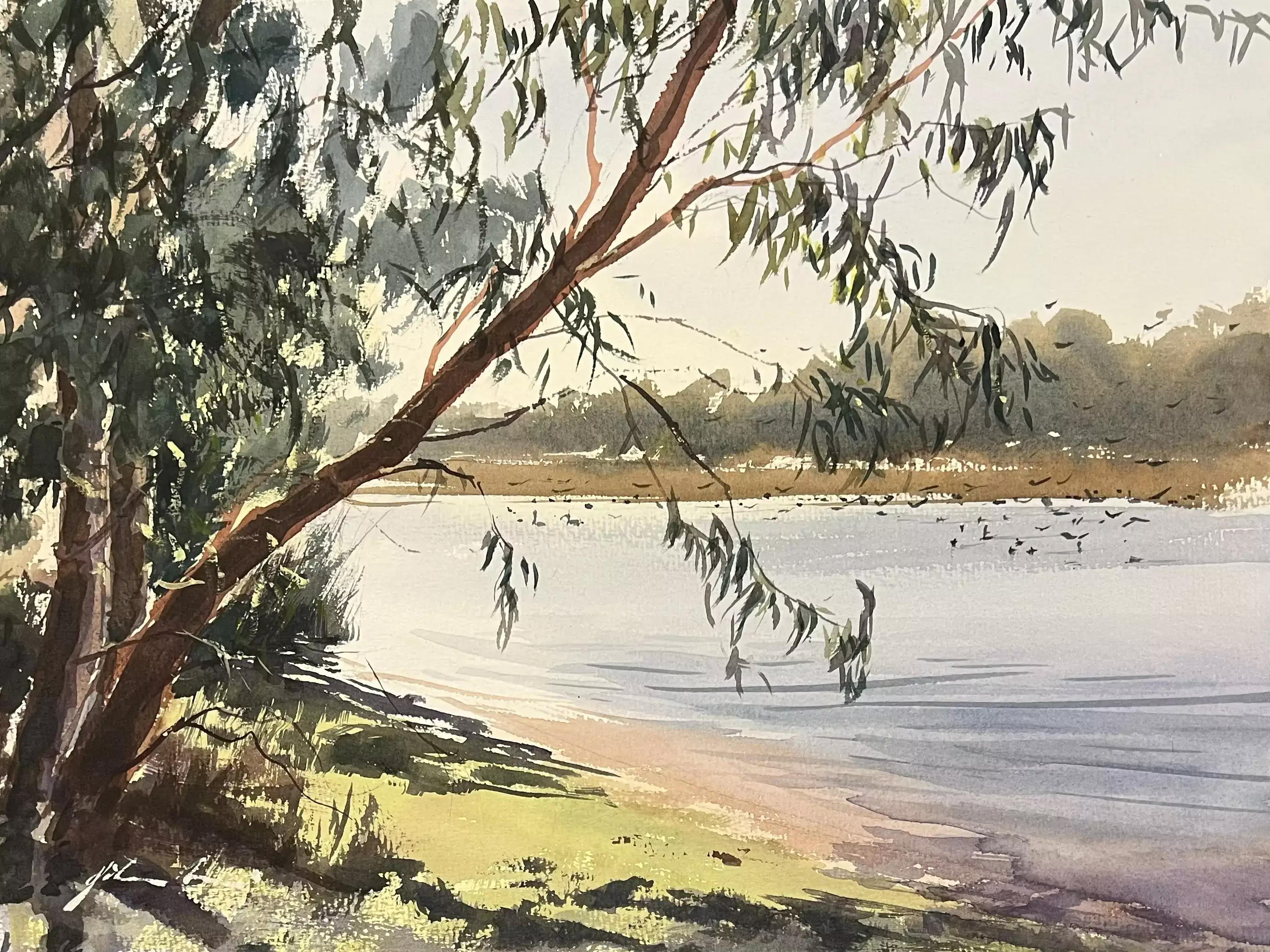 Morning-Light---Bibra-Lake-01