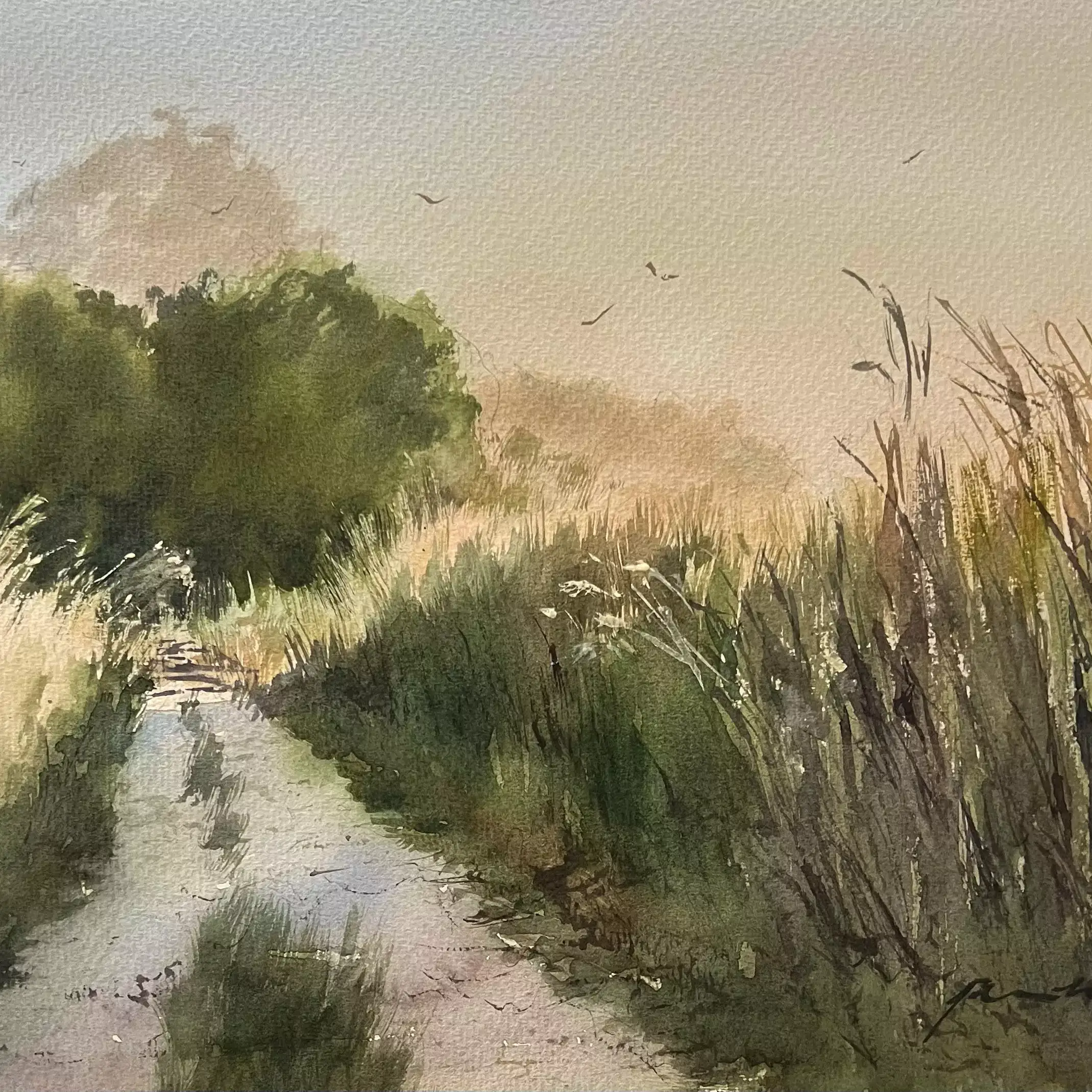 Softly-Homeward-02