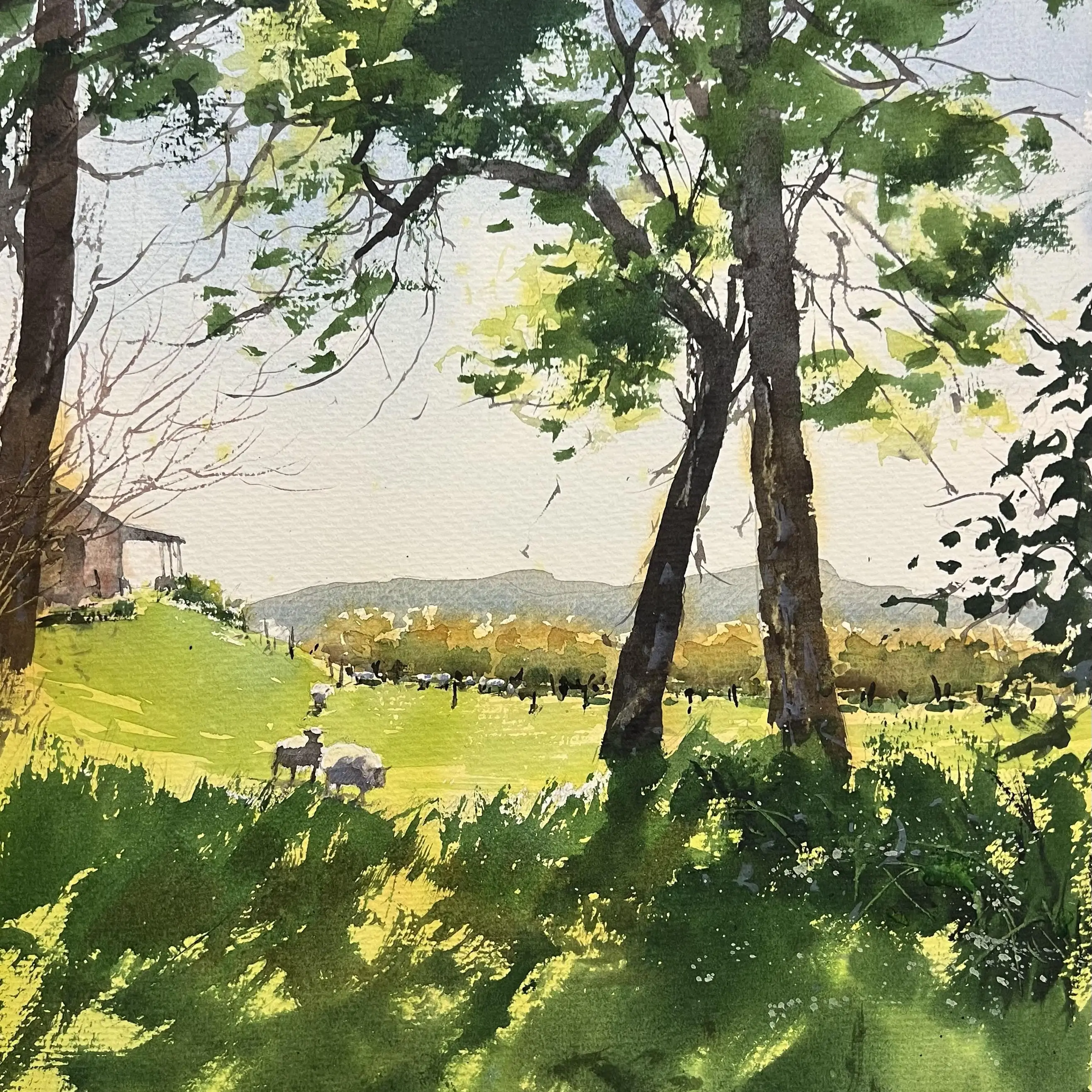 wintergreenonthefarm