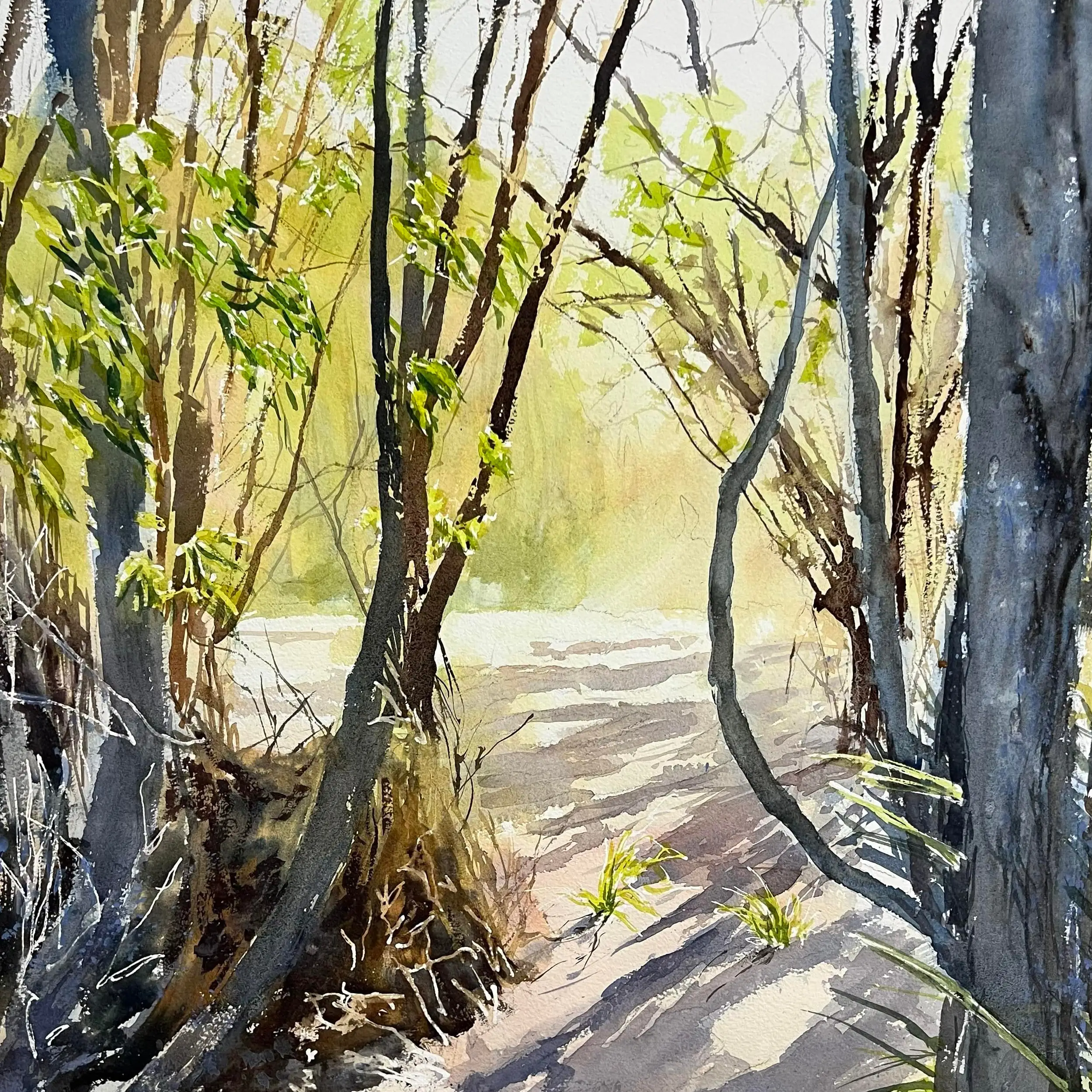 lingeringlight-crop