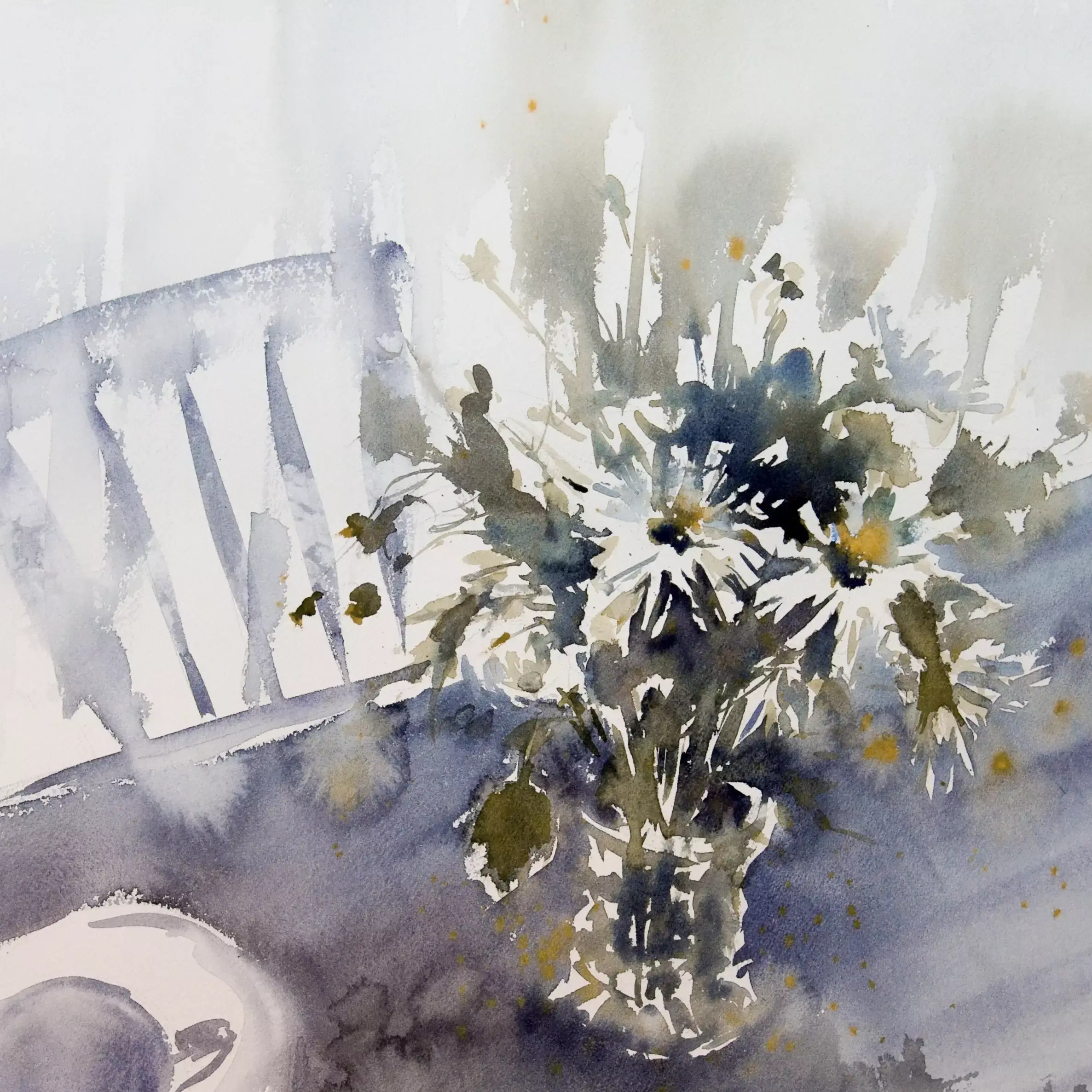 Daisies-01
