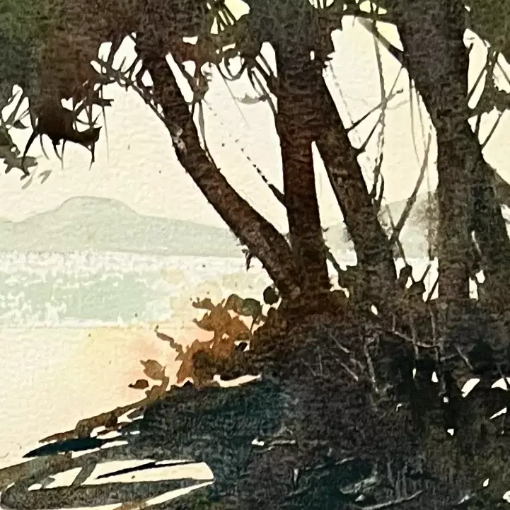 A-Shady-Spot-04